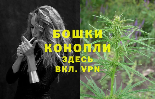 каннабис Инта