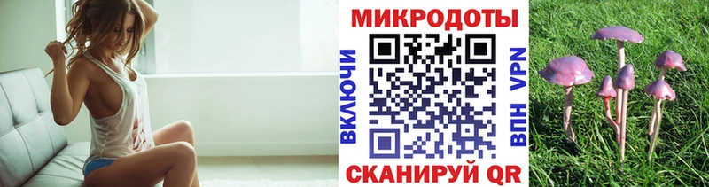 Галлюциногенные грибы Psilocybe  даркнет состав  Волгодонск 